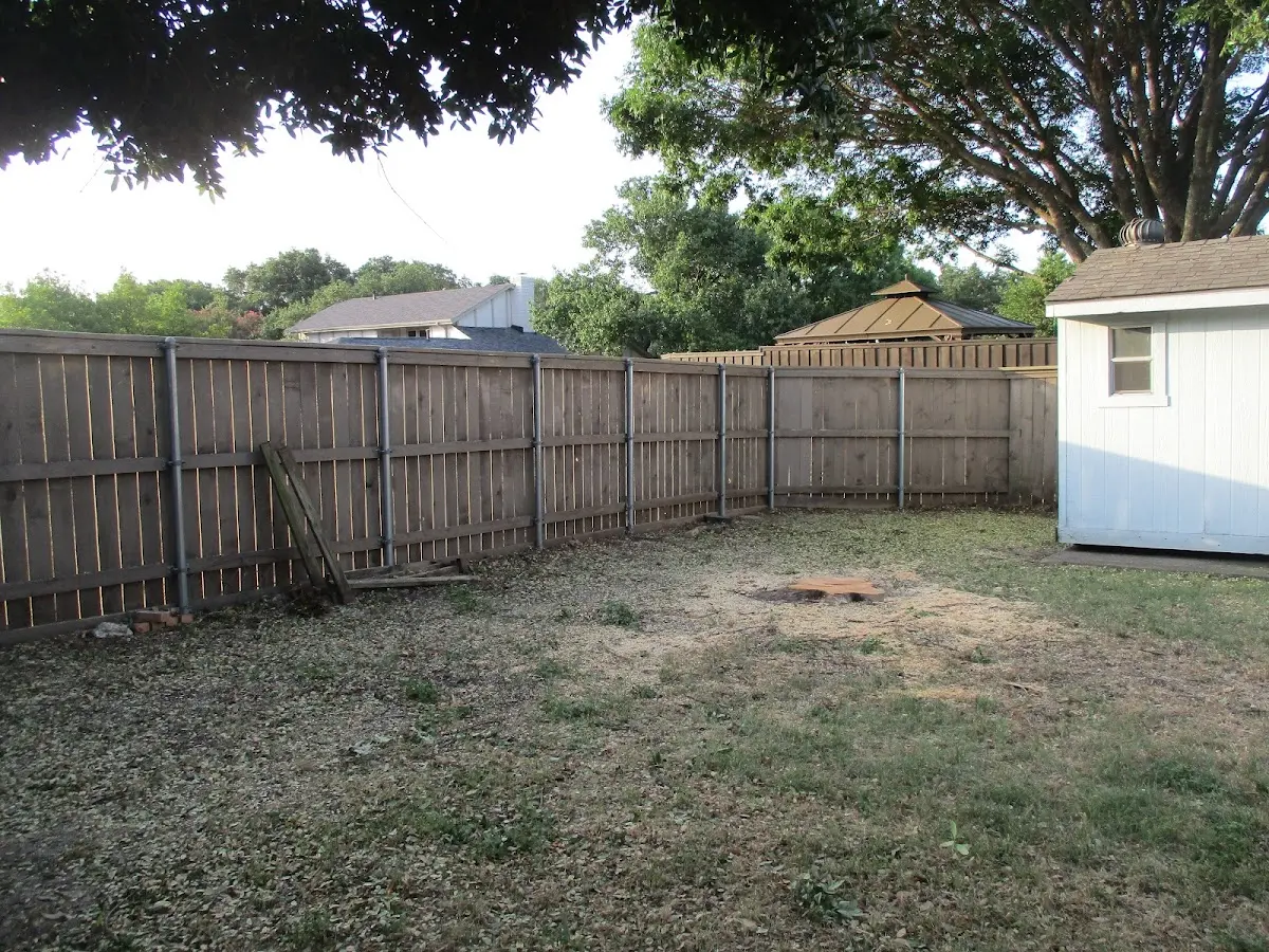 Cleared yard after professional tree removal in Winesburg