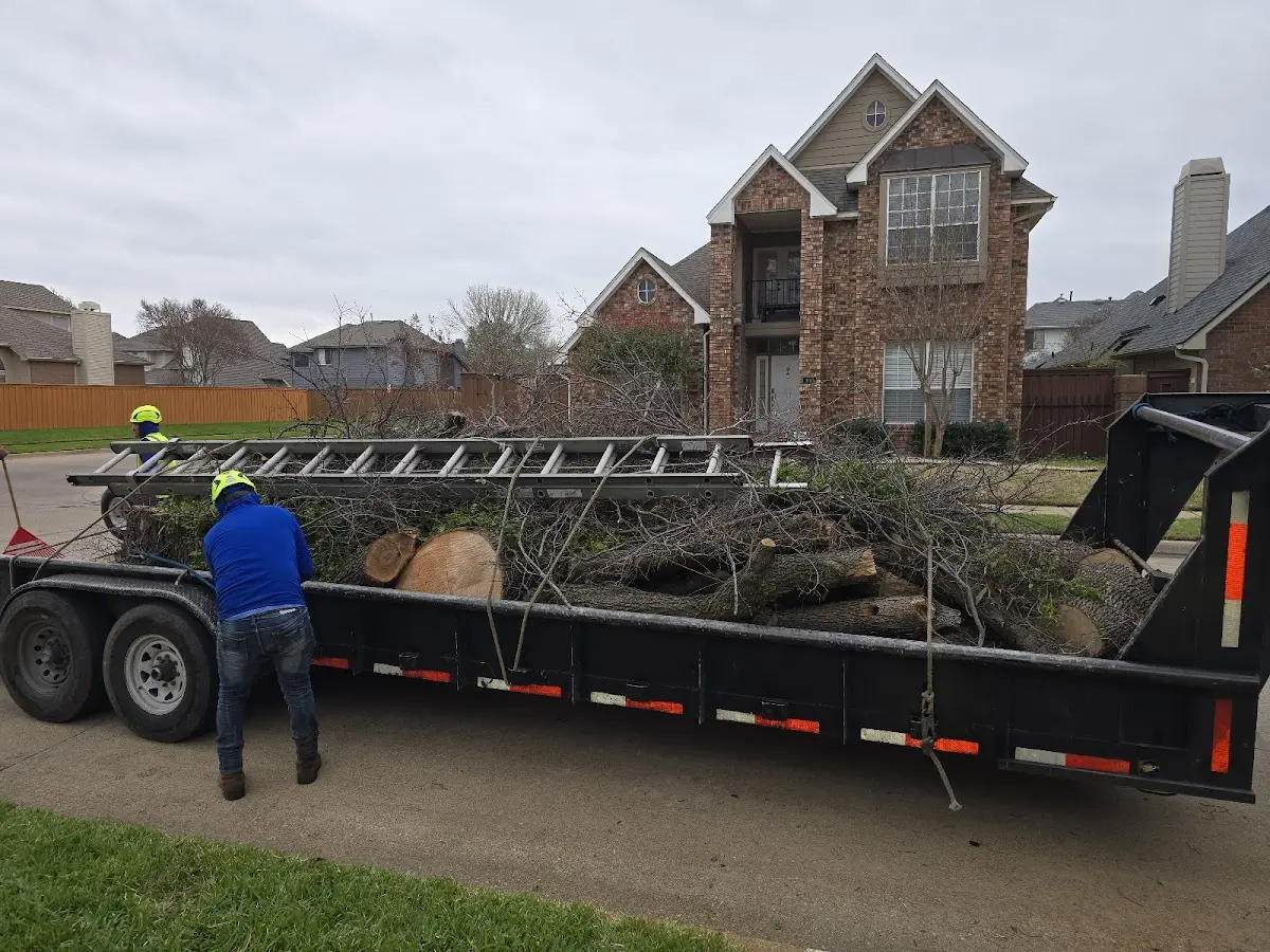 Expert Tree Removal with proper safety equipment in Winesburg